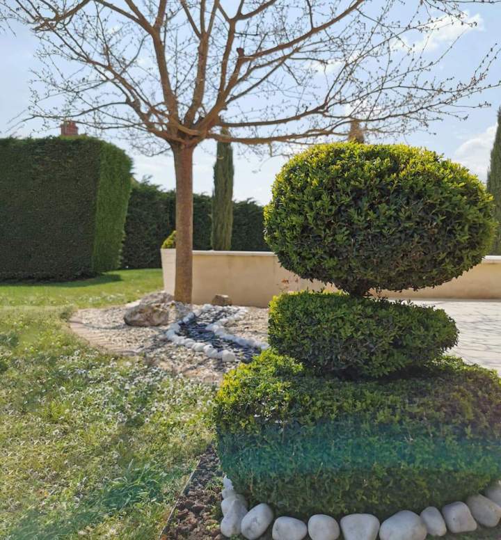 Taille et entretien de jardin à Dijon