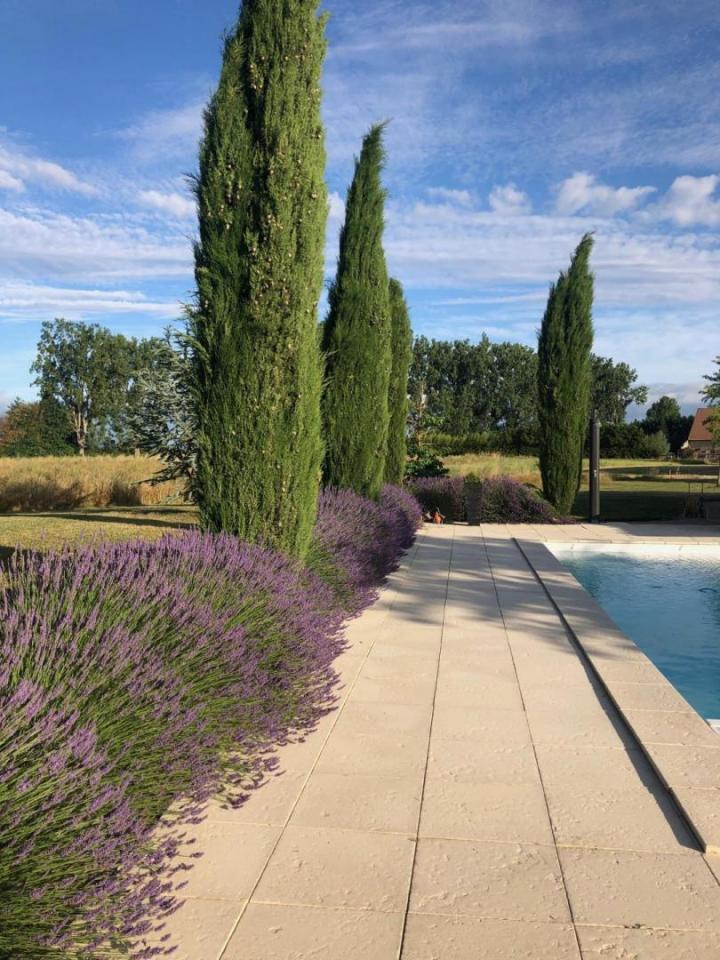 L’entreprise qu’il vous faut pour l’entretien d’espaces verts.